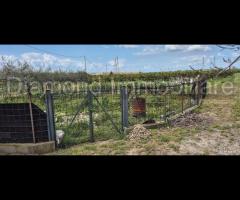 Fabbricato rurale con terreno a Catania - 12