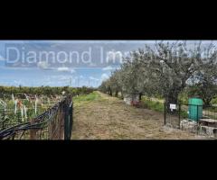 Fabbricato rurale con terreno a Catania - 13