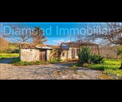 Fabbricato con uliveto e noceto a Piedimonte Etneo