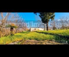 Fabbricato con uliveto e noceto a Piedimonte Etneo