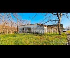 Fabbricato con uliveto e noceto a Piedimonte Etneo