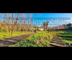 Fabbricato con uliveto e noceto a Piedimonte Etneo - 7