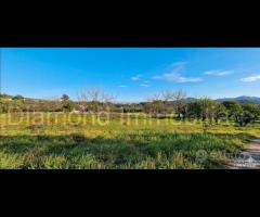 Rustico con uliveto e vigneto a Piedimonte Etneo