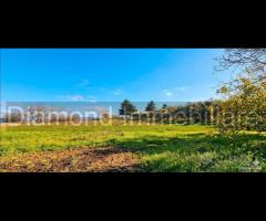 Rustico con uliveto e vigneto a Piedimonte Etneo