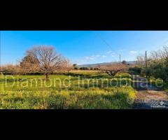 Rustico con uliveto e vigneto a Piedimonte Etneo