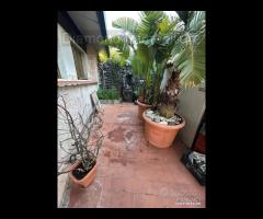 Casa singola con terrazza a Giarre - 10