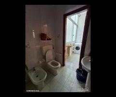 Camera zona Provinciale studentessa/impiegata - 14