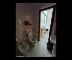 Camera zona Provinciale studentessa/impiegata - 17