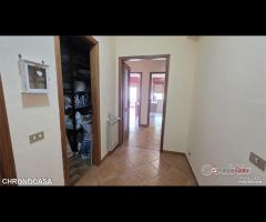 Mili, bivani Panoramico - 12