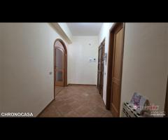 Mili, bivani Panoramico - 13