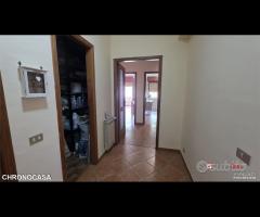 Mili, bivani Panoramico - 14