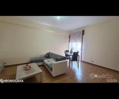 Mili, bivani Panoramico - 15