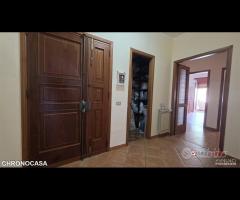 Mili, bivani Panoramico - 18