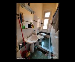 Camera zona Centro studente/impiegato - 13