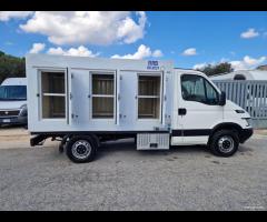 IVECO FRIGORIFERO ATP SCADENZA 2031