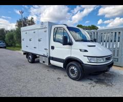 IVECO FRIGORIFERO ATP SCADENZA 2031