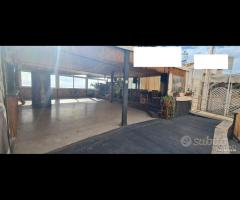 Selinunte Locale commerciale con terrazzo vista ma - 7