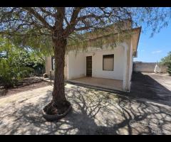 Triscina "villetta 4 vani con giardino esterno - 7