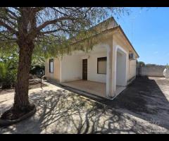 Triscina "villetta 4 vani con giardino esterno - 9