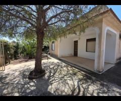 Triscina "villetta 4 vani con giardino esterno - 10