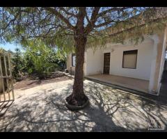 Triscina "villetta 4 vani con giardino esterno - 12