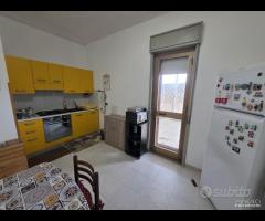 Triscina "villetta 4 vani con giardino esterno - 19