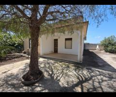 Triscina "villetta 4 vani con giardino esterno - 25