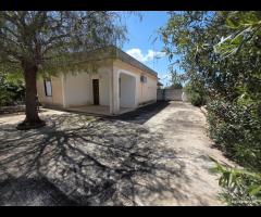 Triscina "villetta 4 vani con giardino esterno - 26