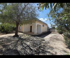 Triscina "villetta 4 vani con giardino esterno - 28