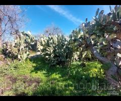 Casa di campagna con terreno a Verzella