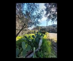 Casa di campagna con terreno a Verzella