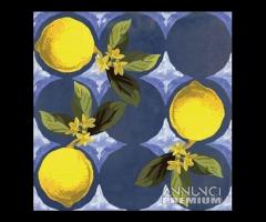 Piastrella 20x20 Giardino Blu Luc. Sant'Agostino - 1