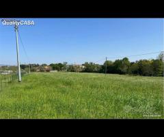 Terreno agricolo a Monte San Vito