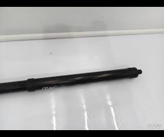 PISTONCINI AMMORTIZZATOR PORTELLONE POST SX=DX NIS - 7