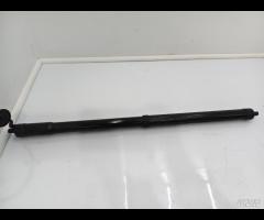 PISTONCINI AMMORTIZZATOR PORTELLONE POST SX=DX NIS - 11