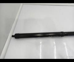 PISTONCINI AMMORTIZZATOR PORTELLONE POST SX=DX NIS - 14