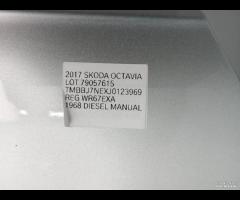 PORTA PORTIERA POST DX SKODA OCTAVIA III 2013-2019 - 8