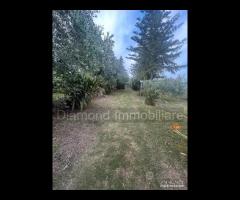 Villetta con 2.000mq di terreno Miscarello-Giarre