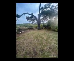 Villetta con 2.000mq di terreno Miscarello-Giarre