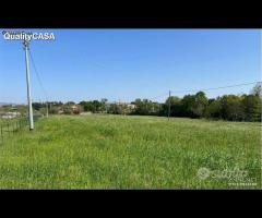 Terreno agricolo a Monte San Vito