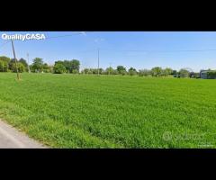 Terreno agricolo a Monte San Vito