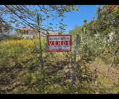 Triscina terreno lato mare di 500 mq c.ca