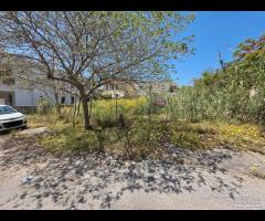 Triscina terreno lato mare di 500 mq c.ca - 6