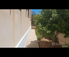 Triscina villa 5 vani + giardino a pochi passi d - 10
