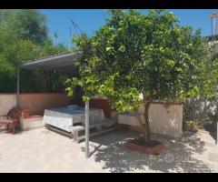 Triscina villa 5 vani + giardino a pochi passi d - 16