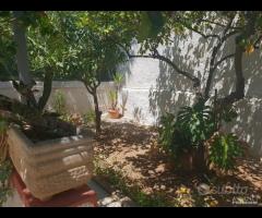 Triscina villa 5 vani + giardino a pochi passi d - 18