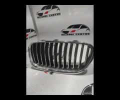 GRIGLIA PARAURTI SINISTRA BMW SERIE 5 F10 2011 720