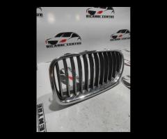 GRIGLIA SINISTRA PARAURTI BMW SERIE 5 F10 2011 511 - 4