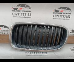 GRIGLIA ANTERIORE SINISTRA 2016 BMW 3 F30 LCI F31 - 2