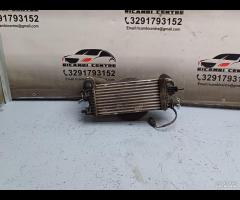 RADIATORE INTERCOOLER + VENTOLA FORD FOCUS CV61-9L - 1
